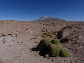 Lagunes de l'altiplano