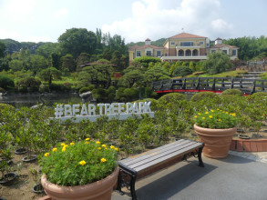 Bear tree park