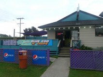 Best Fish and chips in NZ
