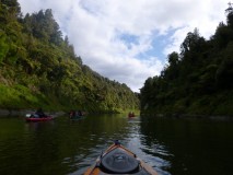 Wanganui river 1