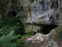 Waipu caves